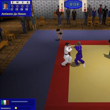 3D Judo Fighting