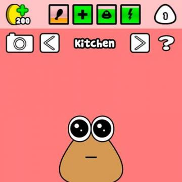 Pou