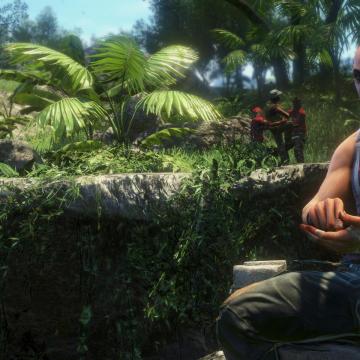 Far Cry 3 (PC)