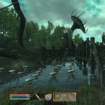 The Elder Scrolls IV Oblivion