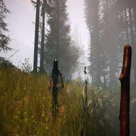 игру The Forest скачать бесплатно на компьютер